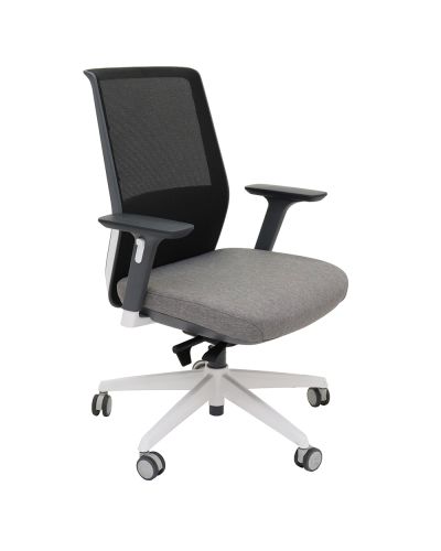 Flynn Mesh Task Chair with Adjustable Arms