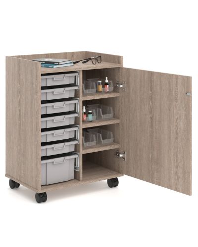 Securastore Mobile Cabinet