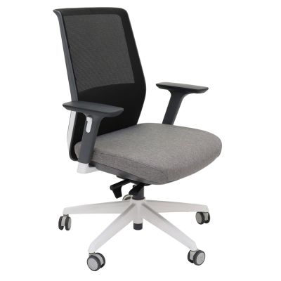 Flynn Mesh Task Chair with Adjustable Arms