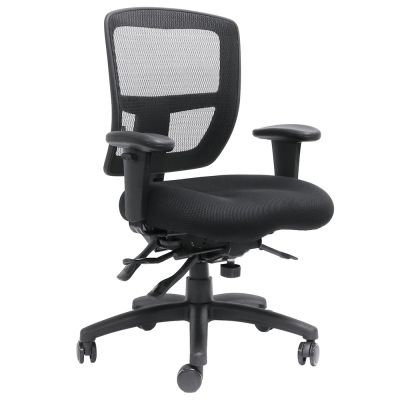 Promesh Ergo Heavy Duty Chair