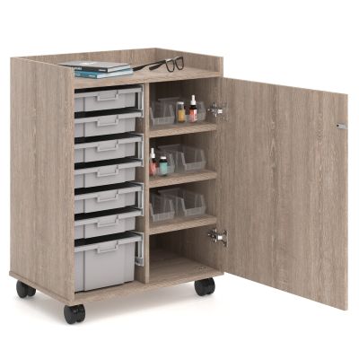 Securastore Mobile Cabinet