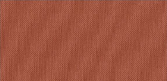 Allure Tandoori Vinyl