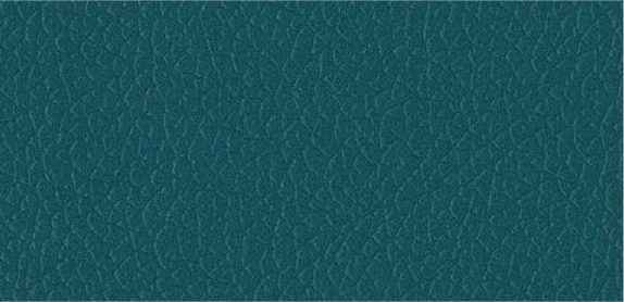 Charisma Teal Vinyl